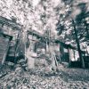 6x9 pinhole camera - Image 4