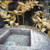 6x9 pinhole camera - Image 6